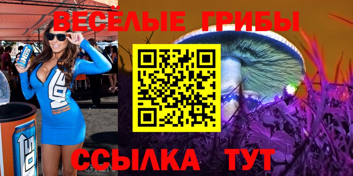 Галлюциногенные грибы прущие грибы Батайск