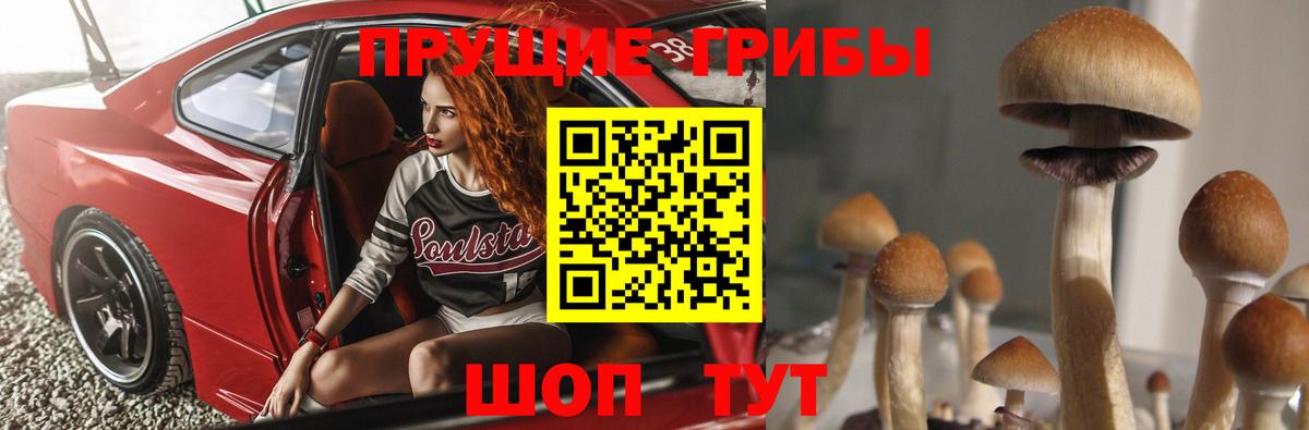 Галлюциногенные грибы GOLDEN TEACHER  Вход с VPN  Галлюциногенные грибы Psilocybe  Батайск 